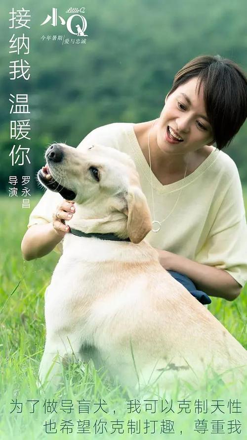 阿尔卡拉大学埃纳雷斯堡硕士毕业证